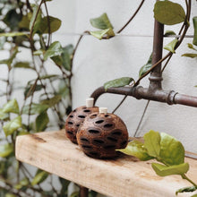 Load image into Gallery viewer, Banksia Aroma Pod Diffusers & Coasters Diffusers Living Green Decor