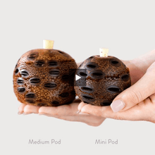Load image into Gallery viewer, Banksia Aroma Pod Diffusers & Coasters Australian