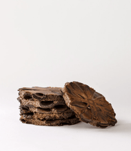 Load image into Gallery viewer, Banksia Aroma Pod Diffusers & Coasters Diffusers Living Green Decor Coaster Banksia