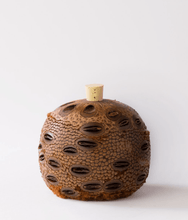 Load image into Gallery viewer, Banksia Aroma Pod Diffusers & Coasters Diffusers Living Green Decor Diffuser Pod Medium Single