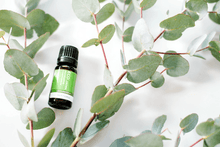 Load image into Gallery viewer, Essential Oil Pure Eucalyptus Essential Oils Living Green Decor
