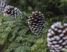 Load image into Gallery viewer, Essential Oil Pure Forest Blend Living Green Decor