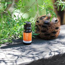 Load image into Gallery viewer, Essential Oil Pure Sweet Orange Essential Oils Living Green Decor