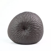 Load image into Gallery viewer, Mollusc Vase Ripple Ceramics Living Green Decor SMALL Black