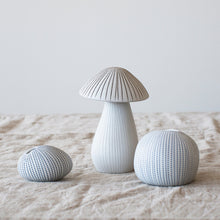 Load image into Gallery viewer, Mushroom Ceramics Roshi Ceramics
