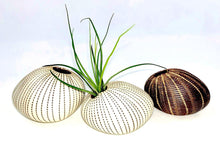 Load image into Gallery viewer, Pebble Chalk Pinstripe Ceramics Living Green Decor
