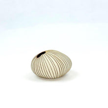 Load image into Gallery viewer, Pebble Chalk Pinstripe Ceramics Living Green Decor MINI