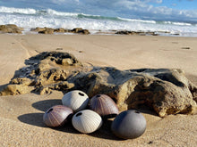 Load image into Gallery viewer, Pebble Sepia Ceramics Living Green Decor