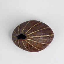 Load image into Gallery viewer, Pebble Sepia Ceramics Living Green Decor