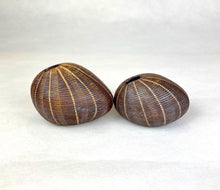 Load image into Gallery viewer, Pebble Sepia Ceramics Living Green Decor