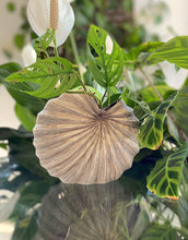 Load image into Gallery viewer, Spiral Vase Brown Ceramics Living Green Decor