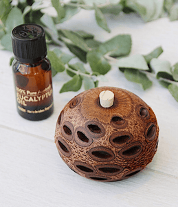 Banksia Aroma Pod Single Gift Box Diffusers Living Green Decor 