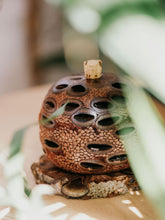 Load image into Gallery viewer, Banksia Seed Pods Wooden items Living Green Decor 
