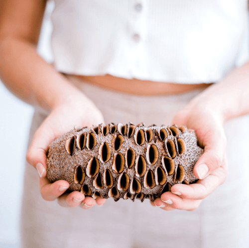 Banksia Seed Pods Wooden items Living Green Decor 