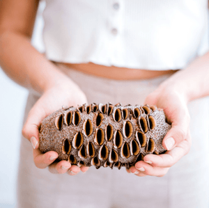 Banksia Seed Pods Wooden items Living Green Decor 