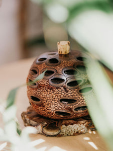 Essential Oil Aroma Trio Top Three Essential Oils Living Green Decor 