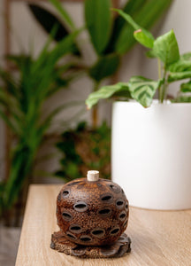 Essential Oil Pure Australian Peppermint Essential Oils Living Green Decor 