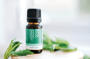 Essential Oil Pure Australian Peppermint Essential Oils Living Green Decor 