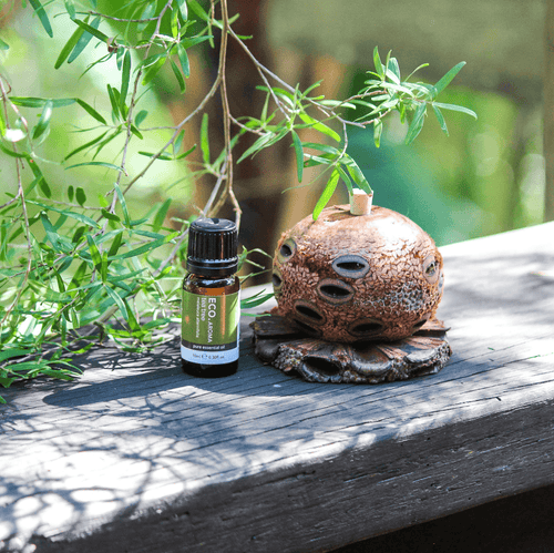 Essential Oil Pure Australian Tea Tree Essential Oils Living Green Decor 