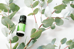 Essential Oil Pure Eucalyptus Essential Oils Living Green Decor 