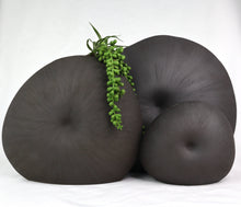 Load image into Gallery viewer, Mollusc Vase Monochrome Ceramics Living Green Decor 
