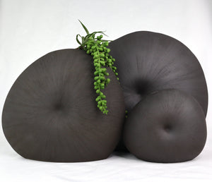 Mollusc Vase Monochrome Ceramics Living Green Decor 