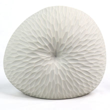 Load image into Gallery viewer, Mollusc Vase Ripple Ceramics Living Green Decor MEDIUM White 
