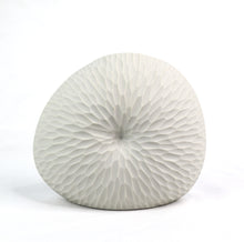 Load image into Gallery viewer, Mollusc Vase Ripple Ceramics Living Green Decor SMALL White 
