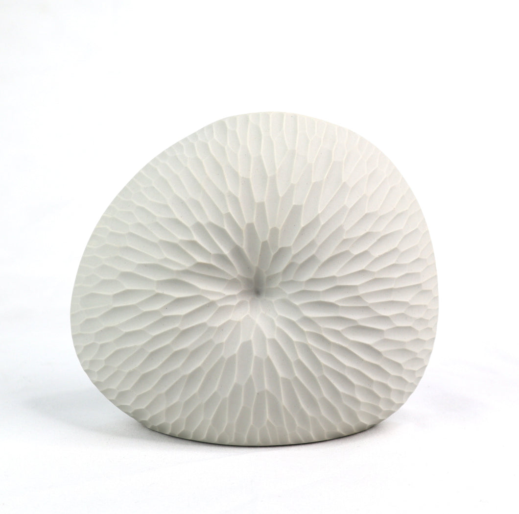 Mollusc Vase Ripple Ceramics Living Green Decor SMALL White 