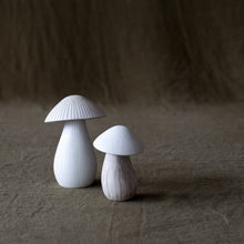 Load image into Gallery viewer, Mushroom Ceramics Roshi Ceramics 
