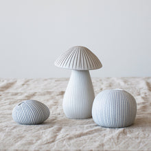Load image into Gallery viewer, Mushroom Ceramics Roshi Ceramics 
