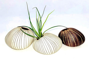Pebble Chalk Pinstripe Ceramics Living Green Decor 