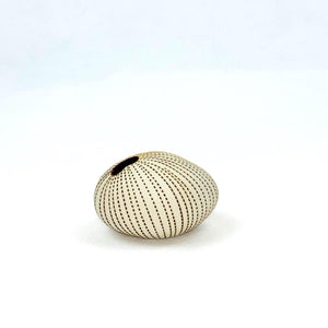 Pebble Chalk Pinstripe Ceramics Living Green Decor MINI 