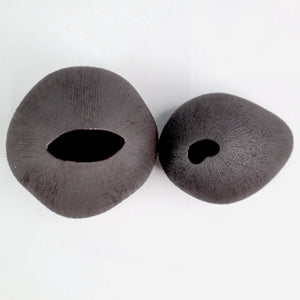 Pebble Charcoal Ceramics Living Green Decor 