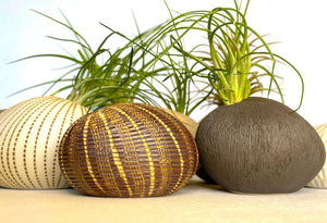 Pebble Charcoal Ceramics Living Green Decor 