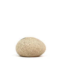 Load image into Gallery viewer, Pebble Sand Ceramics Living Green Decor MINI White Sand 
