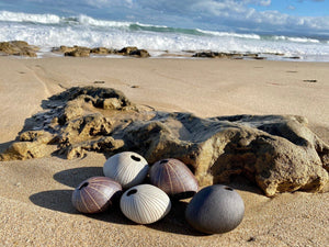 Pebble Sepia Ceramics Living Green Decor 