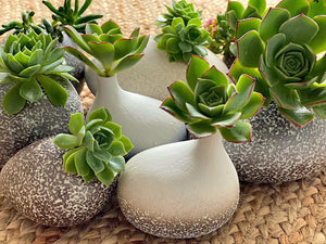 Sea Spray Vase Ceramics Living Green Decor 