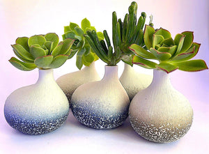 Sea Spray Vase Ceramics Living Green Decor 